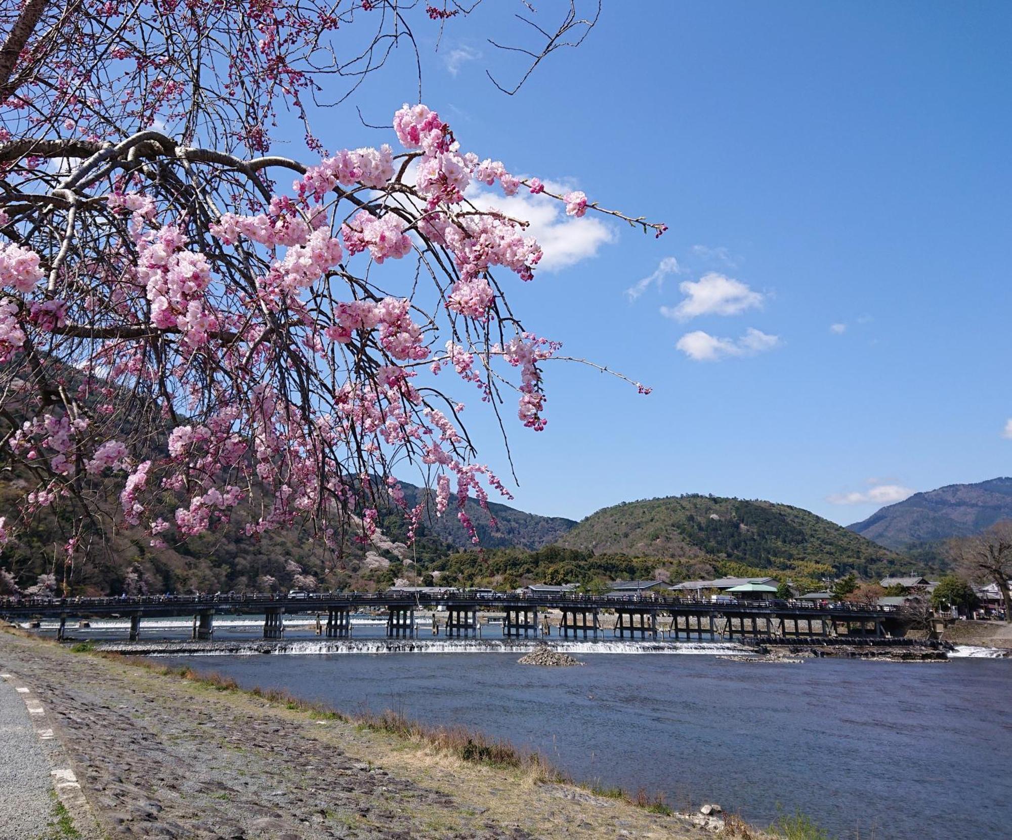 岚山酒店 京都 外观 照片